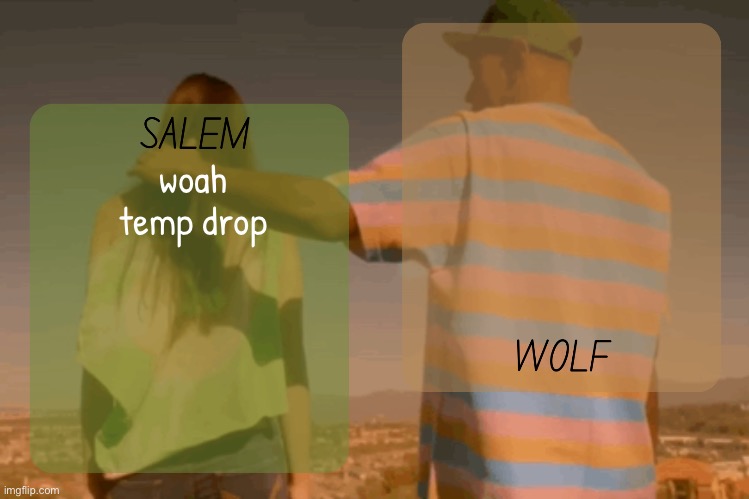 moons and foxed - salem n wolf temp | woah temp drop | image tagged in moons and foxed - salem n wolf temp | made w/ Imgflip meme maker