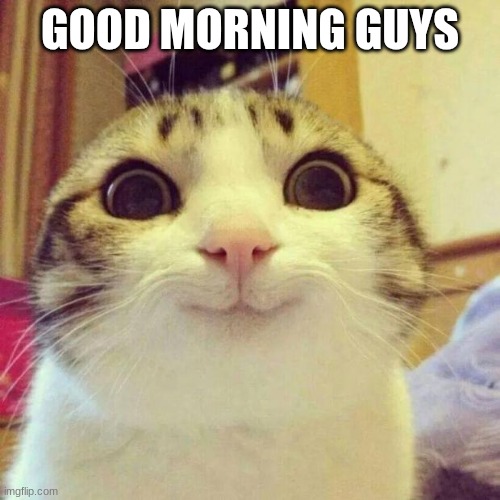 Smiling Cat | GOOD MORNING GUYS | image tagged in memes,smiling cat | made w/ Imgflip meme maker