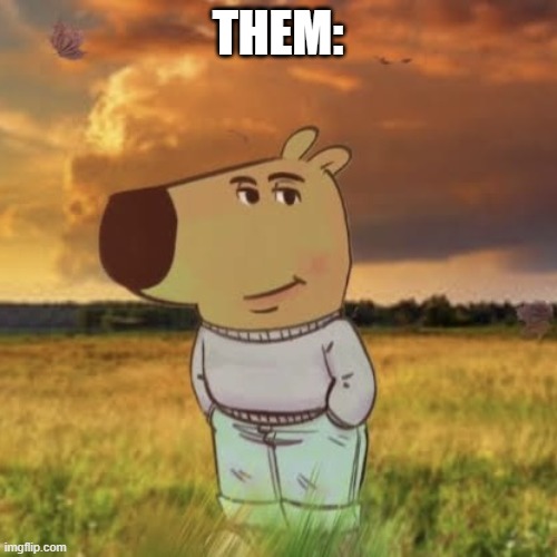 THEM: | image tagged in chill guy | made w/ Imgflip meme maker