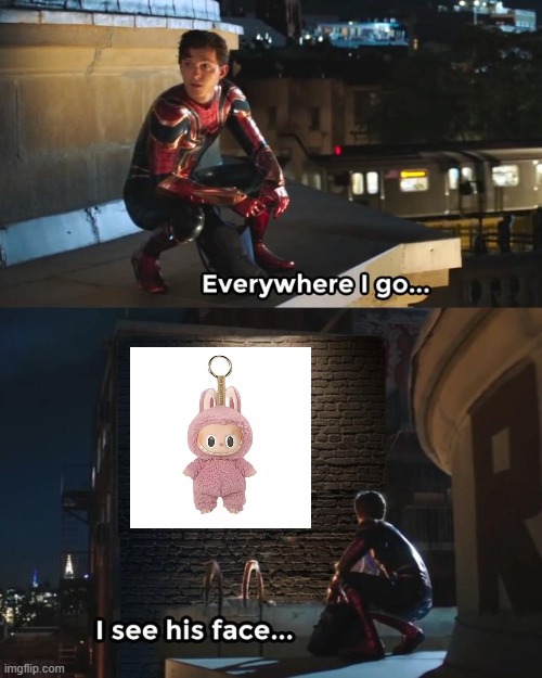 Everywhere I go I see his face | image tagged in everywhere i go i see his face | made w/ Imgflip meme maker