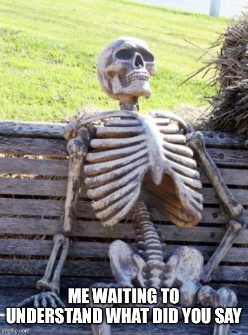 ME WAITING TO UNDERSTAND WHAT DID YOU SAY | image tagged in memes,waiting skeleton | made w/ Imgflip meme maker