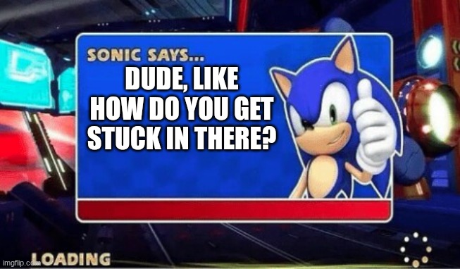 Sonic Says | DUDE, LIKE HOW DO YOU GET STUCK IN THERE? | image tagged in sonic says | made w/ Imgflip meme maker
