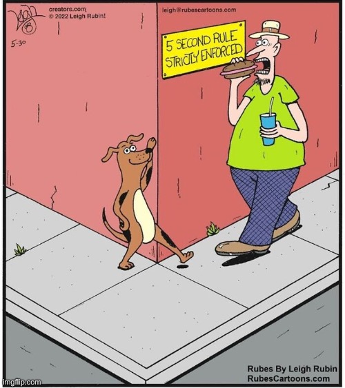 Rubes | image tagged in comics,rubes,5 second rule,dog,opportunist,sandwich | made w/ Imgflip meme maker