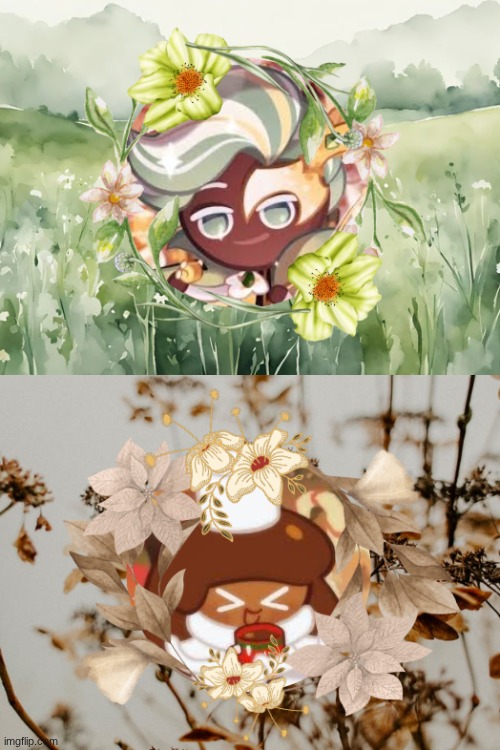 Matching BackGrounds! .2 | image tagged in mint choco cookie,cocoa cookie,matching,backgrounds | made w/ Imgflip meme maker