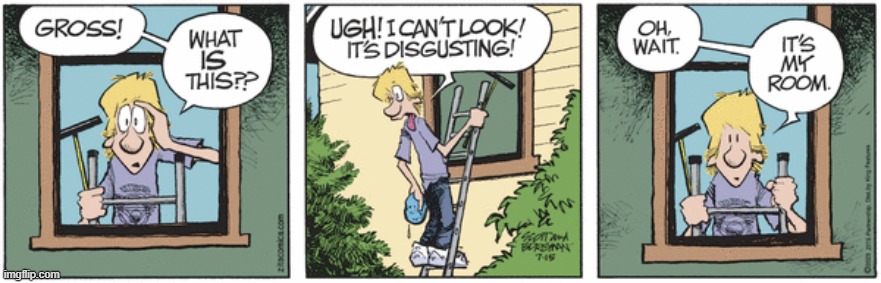 Zits | image tagged in comics | made w/ Imgflip meme maker