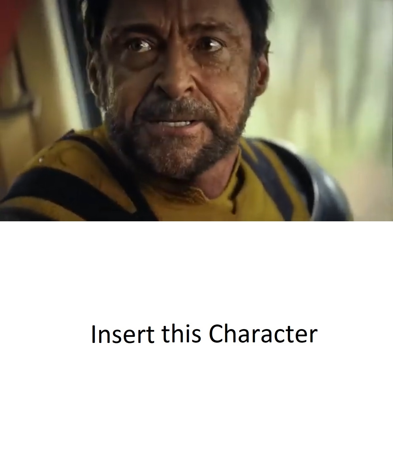 High Quality Wolverine roast this character Blank Meme Template