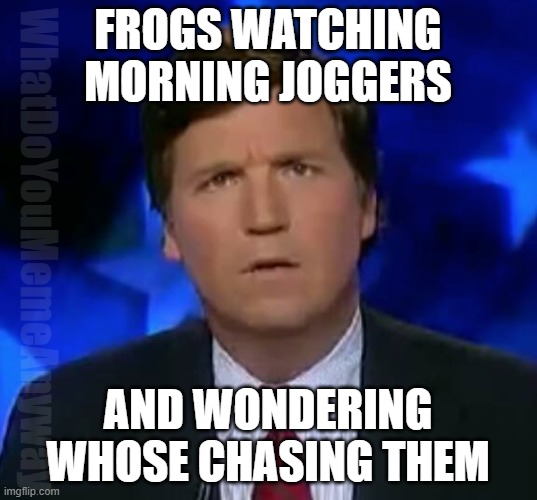 Like seriously, what do they think we're doing? | FROGS WATCHING MORNING JOGGERS; WhatDoYouMemeAnyway; AND WONDERING WHOSE CHASING THEM | image tagged in confused tucker carlson | made w/ Imgflip meme maker