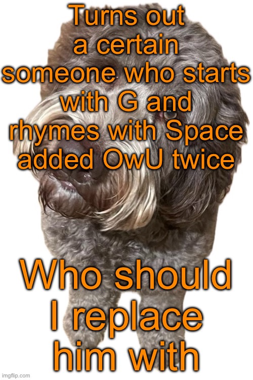Norther's dog | Turns out a certain someone who starts with G and rhymes with Space added OwU twice; Who should I replace him with | image tagged in norther's dog | made w/ Imgflip meme maker