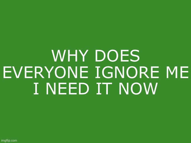 Tikole.Mibolles text temp | WHY DOES EVERYONE IGNORE ME
I NEED IT NOW | image tagged in tikole mibolles text temp | made w/ Imgflip meme maker