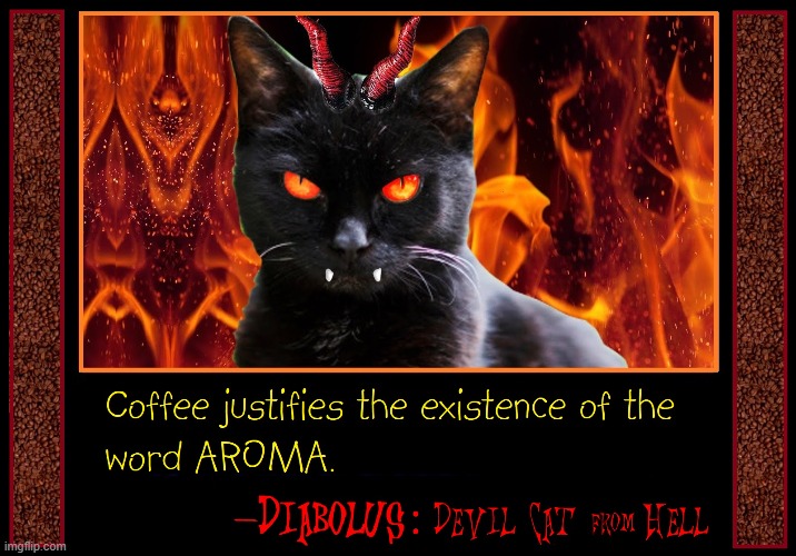 Does anyone know the best expert on roasting? | image tagged in vince vance,black cat,hell fire,devil,cats,coffee | made w/ Imgflip meme maker