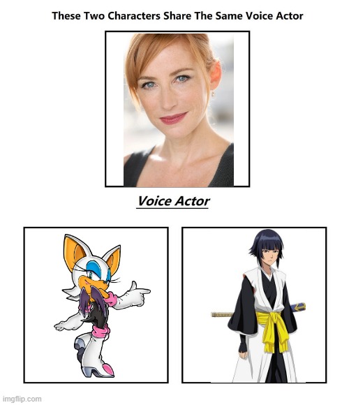 Karen Strassman | image tagged in same voice actor,karen strassman,bleach,sonic the hedgehog,sega,sonic | made w/ Imgflip meme maker