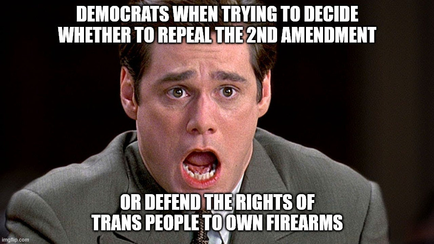 Another Quandry | DEMOCRATS WHEN TRYING TO DECIDE WHETHER TO REPEAL THE 2ND AMENDMENT; OR DEFEND THE RIGHTS OF TRANS PEOPLE TO OWN FIREARMS | image tagged in libtards,2nd amendment,gun rights | made w/ Imgflip meme maker