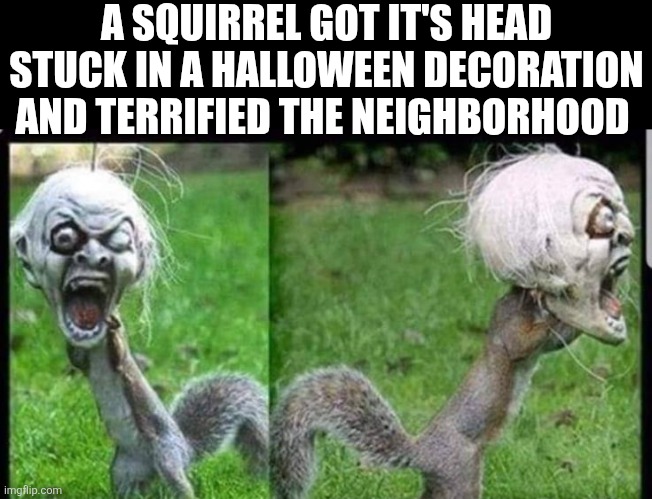 A Squirrel Got It's Head Stuck In A Halloween Decoration And Terrified The Neighborhood | A SQUIRREL GOT IT'S HEAD STUCK IN A HALLOWEEN DECORATION AND TERRIFIED THE NEIGHBORHOOD | image tagged in chrisjoines1 | made w/ Imgflip meme maker