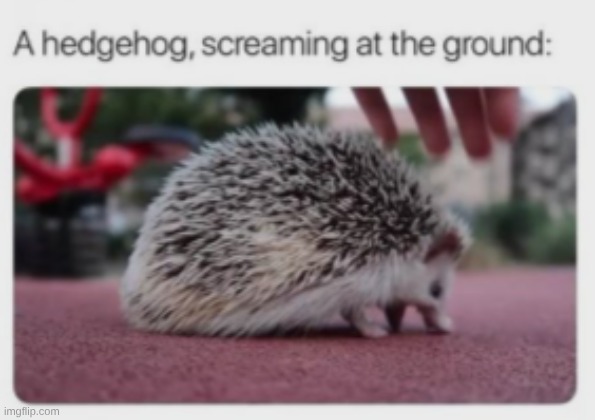 I'll be going home from the library now, cya everyone later! | made w/ Imgflip meme maker