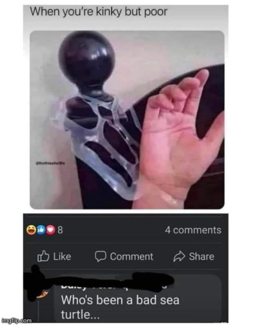 hmmm | image tagged in kinky,wtf,sea turtle,funny,sex,plastic | made w/ Imgflip meme maker