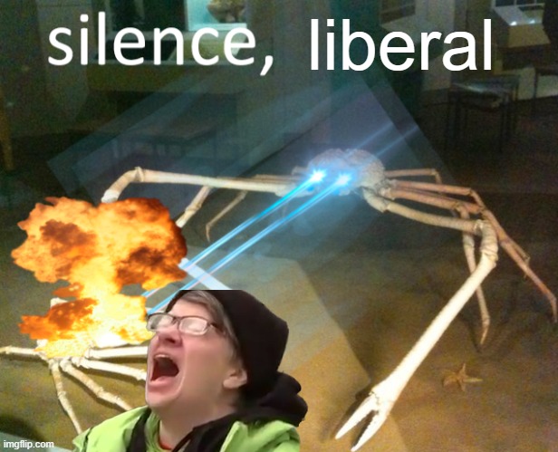 if we don't have freedom of speech, neither should you #savetheuk | liberal | image tagged in silence crab,britain,freedom of speech | made w/ Imgflip meme maker