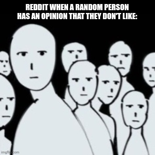 REDDIT WHEN A RANDOM PERSON HAS AN OPINION THAT THEY DON'T LIKE: | image tagged in memes,reddit,moment | made w/ Imgflip meme maker