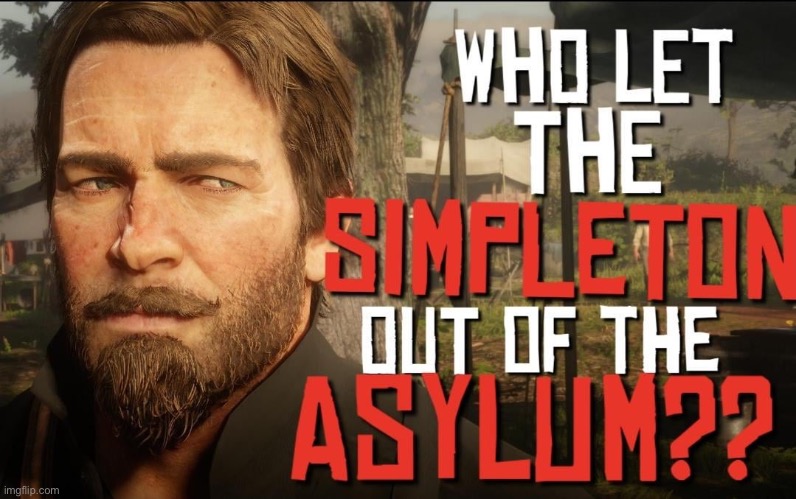 who’s dumbass gave this mf mod again | image tagged in who let the simpleton out of the asylum | made w/ Imgflip meme maker