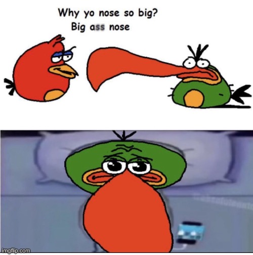 image tagged in memes,shitpost,big ass nose,angry birds,bullying | made w/ Imgflip meme maker
