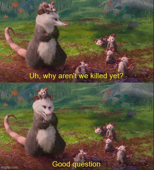 Why Aren't We Killed Yet? Good Question. | image tagged in why aren't we killed yet good question | made w/ Imgflip meme maker