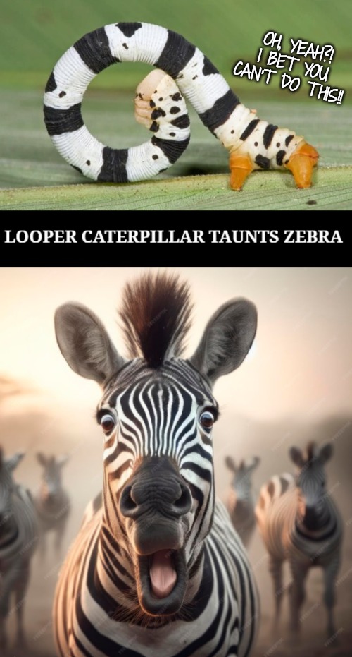Zebras think they are sooo pretty BUT... | OH, YEAH?! I BET YOU CAN'T DO THIS!! | image tagged in pretty boy zebra,cool ad a caterpiller | made w/ Imgflip meme maker