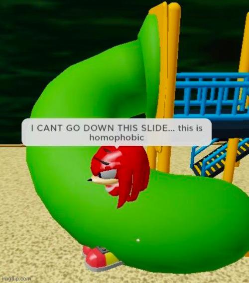 what am I witnessing | image tagged in roblox,knuckles,homophobic | made w/ Imgflip meme maker