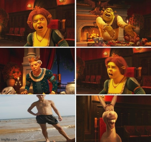 Who | image tagged in shrek fiona harold donkey | made w/ Imgflip meme maker