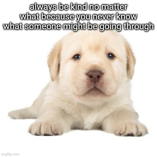 always be kind no matter what because you never know what someone might be going through | made w/ Imgflip meme maker