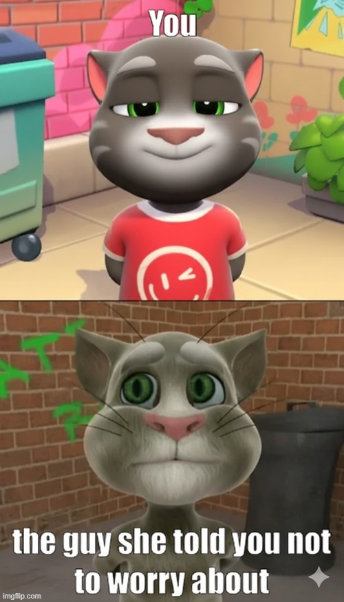 image tagged in talking tom | made w/ Imgflip meme maker