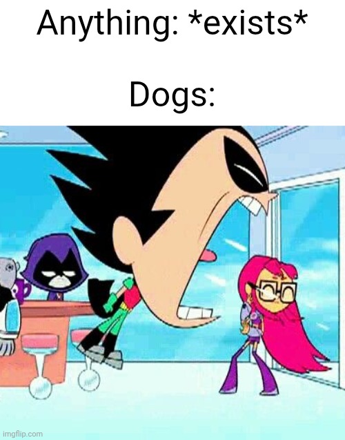 Dogs be like | Anything: *exists*
 
Dogs: | image tagged in robin yelling at starfire,dogs,memes,funny,relatable,why are you reading the tags | made w/ Imgflip meme maker
