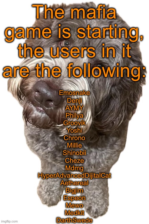 Norther's dog | The mafia game is starting, the users in it are the following:; Emosnake
Denji
AYMY
Philya
Groovik
Yoshi
Chrono
Millie
Shinobii
Cheze
Mdmg
HyperAdvancedDijitalCat
Aethereal
Bigjim
Espeon
Mewo
Medkit
DarthSwede | image tagged in norther's dog | made w/ Imgflip meme maker