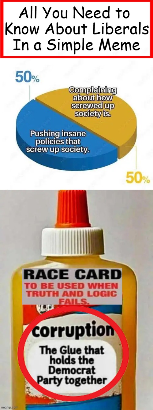 In a Nutshell | All You Need to 

Know About Liberals

In a Simple Meme | image tagged in liberals,prove me wrong,government corruption,mental health,the truth,political humor | made w/ Imgflip meme maker