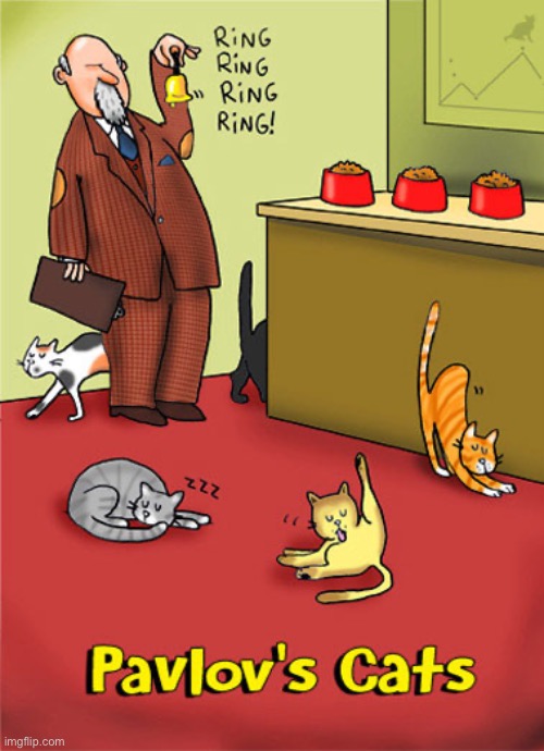 A slightly different outcome than Pavlov’s dog experiment… | image tagged in cats,comics/cartoons,pavlovs cats,ignoring | made w/ Imgflip meme maker