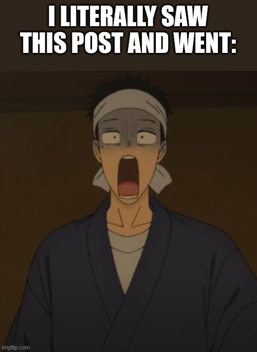 Gasp! | I LITERALLY SAW THIS POST AND WENT: | image tagged in gasp | made w/ Imgflip meme maker