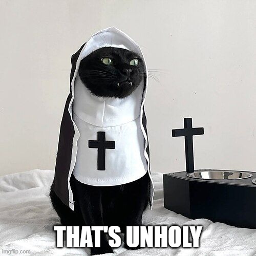 Nun cat | THAT'S UNHOLY | image tagged in cats | made w/ Imgflip meme maker