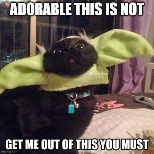 Yoda Cat | ADORABLE THIS IS NOT | image tagged in cats | made w/ Imgflip meme maker