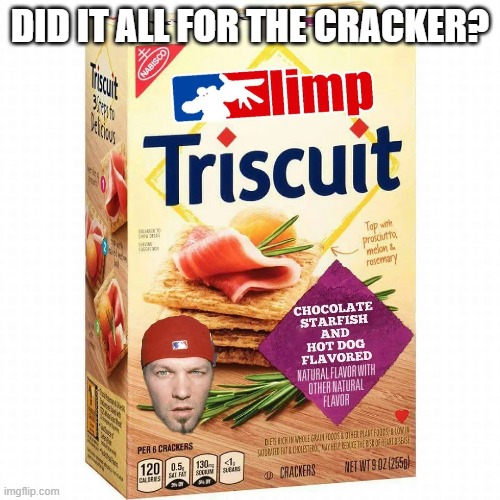 Limp Triscuit | DID IT ALL FOR THE CRACKER? | image tagged in music,limp bizkit | made w/ Imgflip meme maker