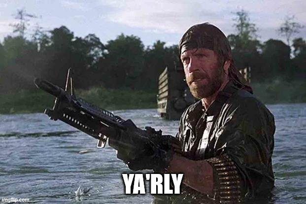 Chuck Norris | YA'RLY | image tagged in chuck,chuck norris,really,rly | made w/ Imgflip meme maker
