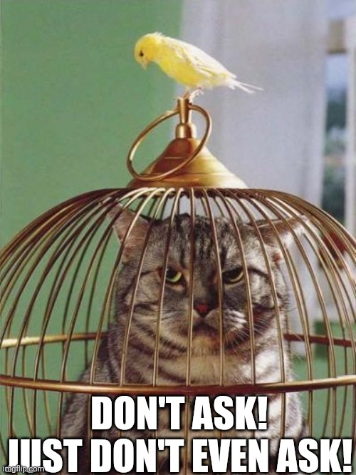 Don't Ask! Just Don't Even Ask! | DON'T ASK! JUST DON'T EVEN ASK! | image tagged in chrisjoines1 | made w/ Imgflip meme maker