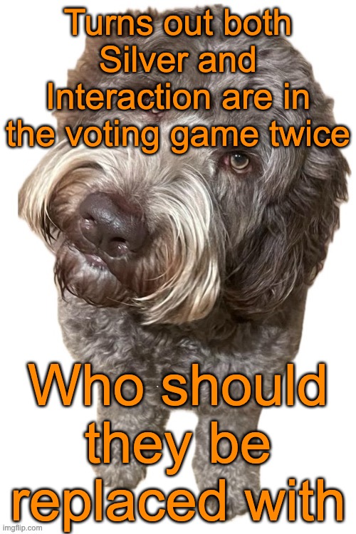 Norther's dog | Turns out both Silver and Interaction are in the voting game twice; Who should they be replaced with | image tagged in norther's dog | made w/ Imgflip meme maker