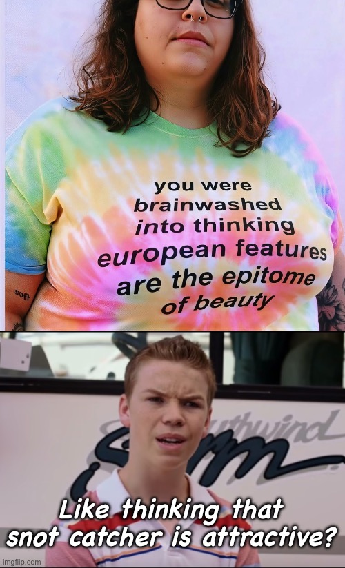 Stupid things people with “European” features say: | Like thinking that snot catcher is attractive? | image tagged in you guys are getting paid,politics lol,memes | made w/ Imgflip meme maker