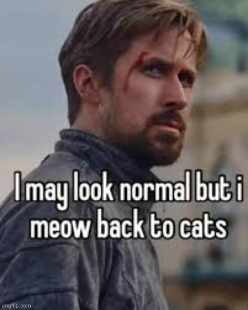 hell yeah | image tagged in me,cats,shitpost,stop reading the tags | made w/ Imgflip meme maker