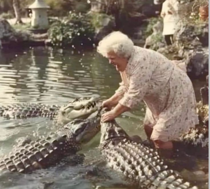 Chrisjoines1 Blank Meme Template