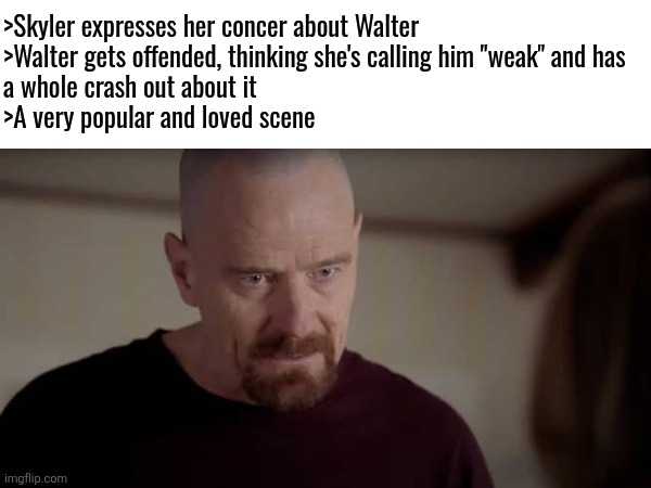 I love breaking bad but I don't get why this specific scene is so popular, it's dumb in the actual context | >Skyler expresses her concer about Walter
>Walter gets offended, thinking she's calling him "weak" and has
a whole crash out about it
>A very popular and loved scene | made w/ Imgflip meme maker