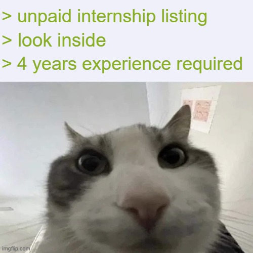 skibiiiii | > unpaid internship listing; > look inside; > 4 years experience required | image tagged in green text cat | made w/ Imgflip meme maker