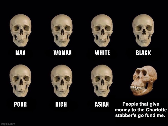 Racist is as racist does | People that give money to the Charlotte stabber’s go fund me. | image tagged in empty skulls of truth,politics lol,memes | made w/ Imgflip meme maker