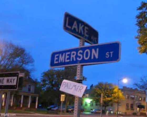 why did he do that | made w/ Imgflip meme maker