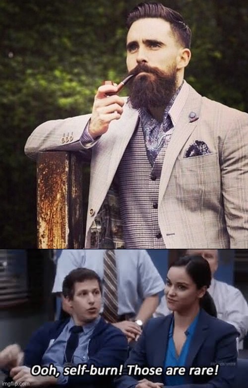 image tagged in hipster beard,ooh self-burn those are rare | made w/ Imgflip meme maker