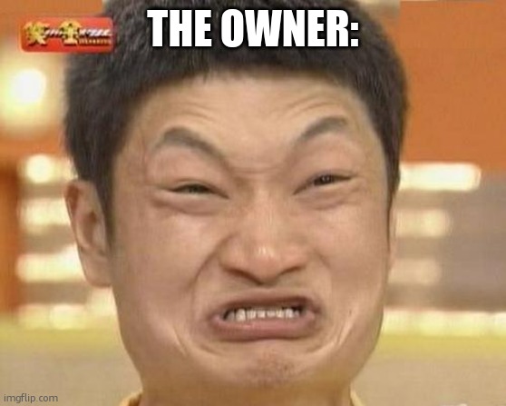 Impossibru Guy Original Meme | THE OWNER: | image tagged in memes,impossibru guy original | made w/ Imgflip meme maker