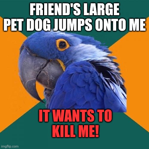 Jumpy Canines | FRIEND'S LARGE PET DOG JUMPS ONTO ME; IT WANTS TO
KILL ME! | image tagged in paranoid parrot,image macro,classic meme,parrot,cynophobia | made w/ Imgflip meme maker